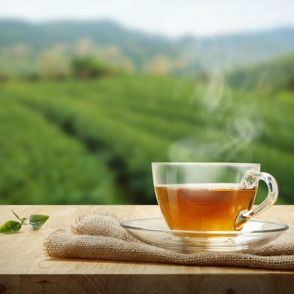 shutterstock_535211404