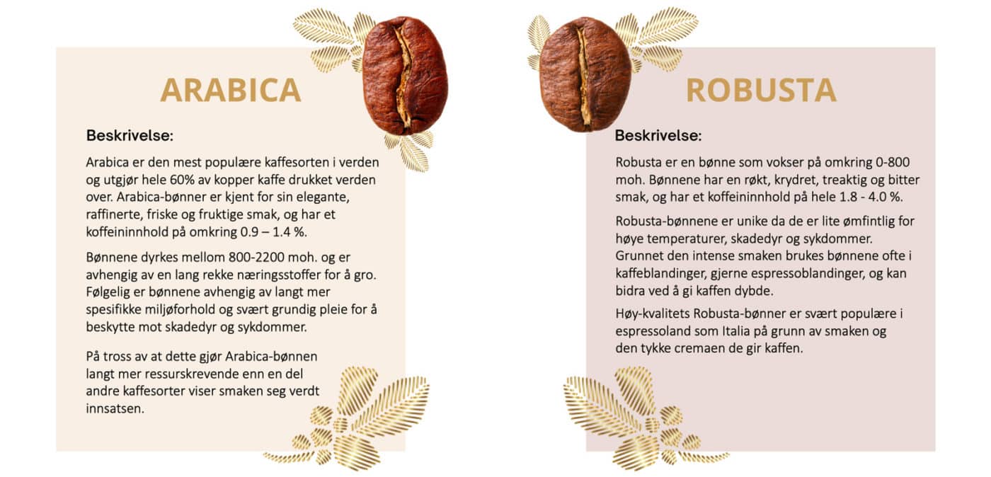 Arabica-vs.-Robusta---Det-Norske-Kaffehus-AS