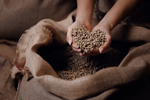 Den internasjonale kaffedagen 2025 1