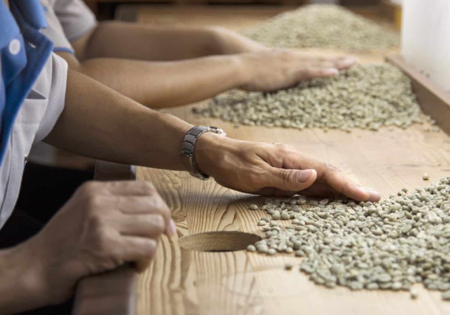 Det Norske Kaffehus - Sortering