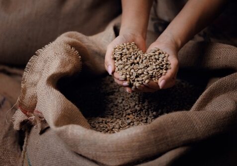 Professional,Worker,Hold,Green,Coffee,Beans,Shaped,Heart,On,Background